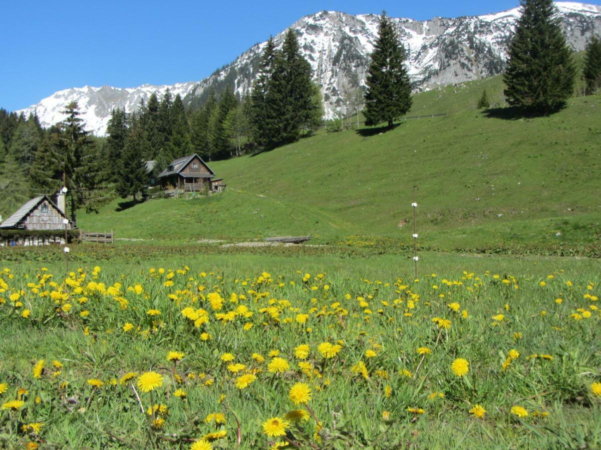 Almgasthaus Seebergalm Turnau Екстер'єр фото
