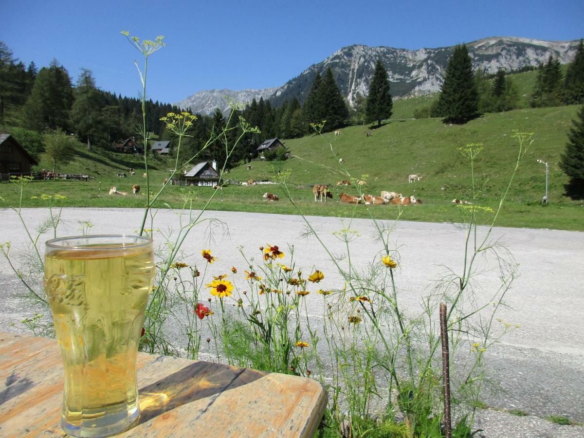Almgasthaus Seebergalm Turnau Екстер'єр фото